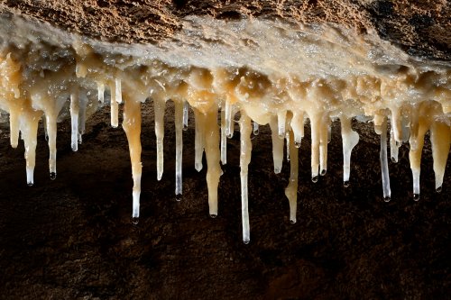 Grotte de Labouiche (Ariège) - Ensemble de stalactites(SP-23-1607)